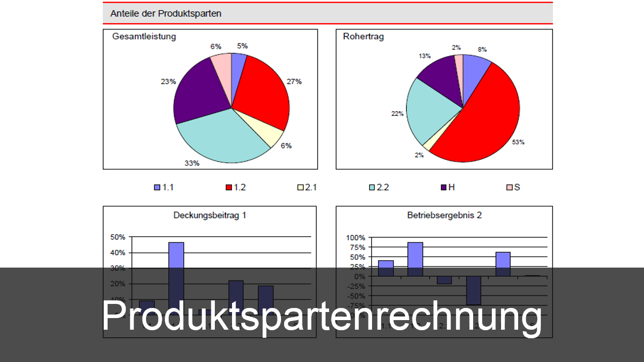 Produktspartenrechnung